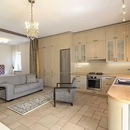Near Old Town With Private Garden * Wilna